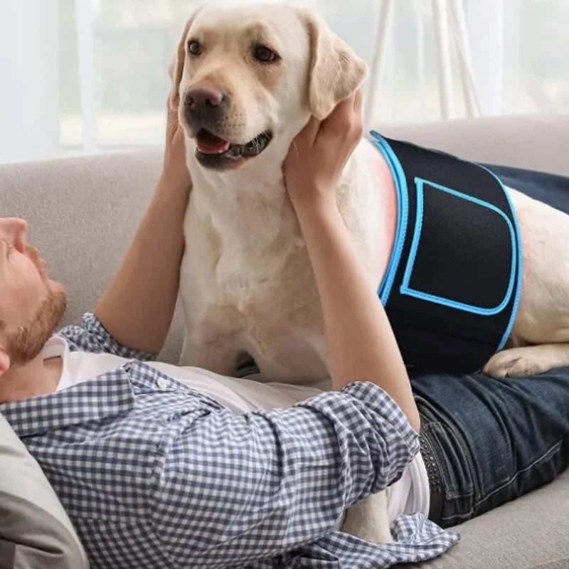 Infrared Therapy Body Belt